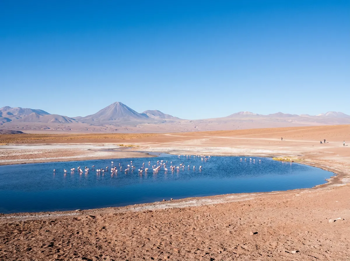 Viajar a Chile